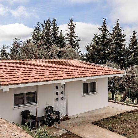 Ferienwohnung Olive Grove Bar Exterior foto